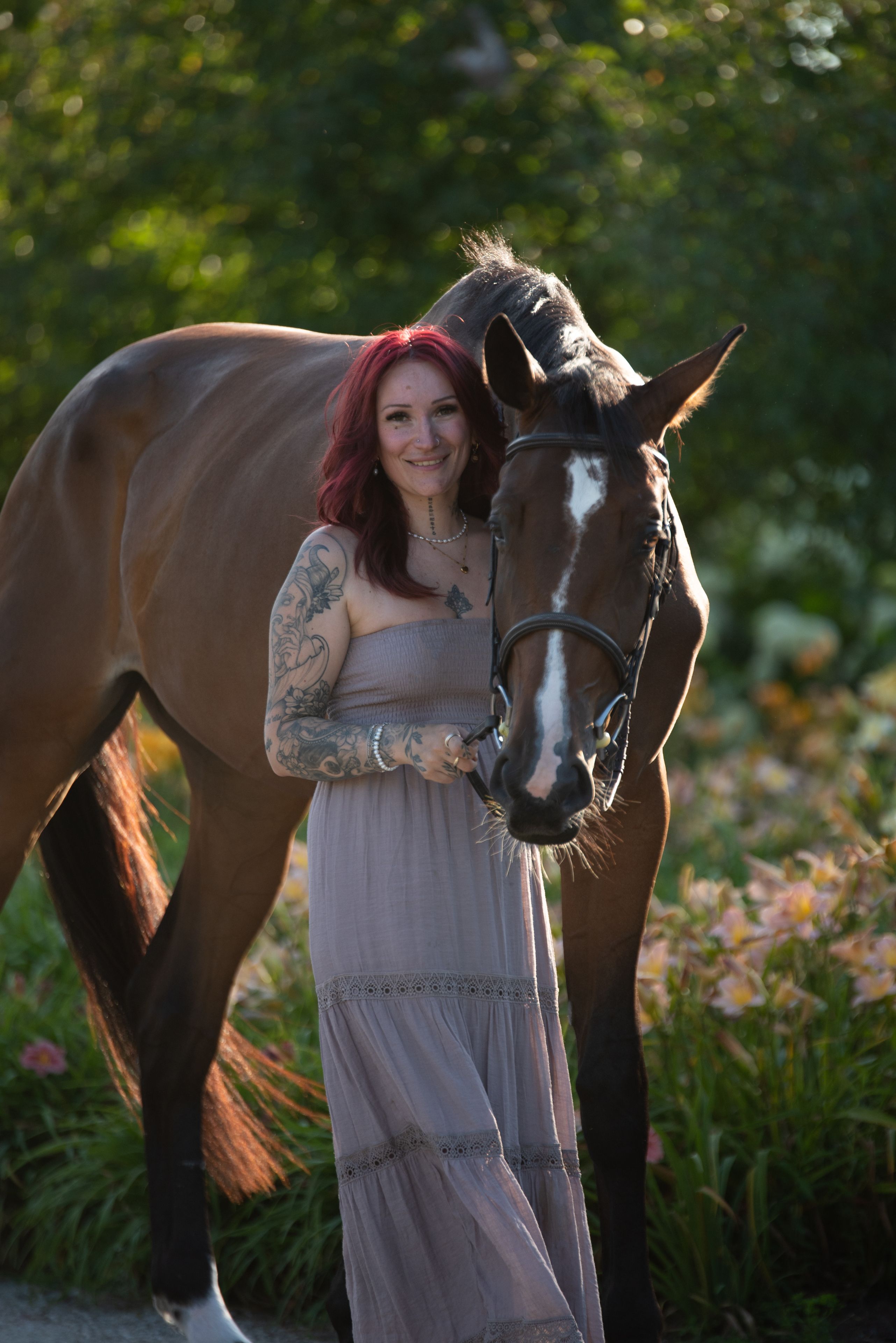 Lucy, pouliche warmblood de 4 ans