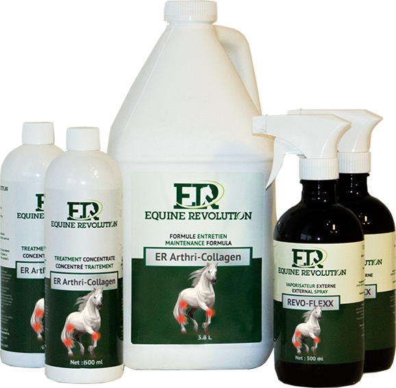 Equine Revolution Collagenbased products for your horses