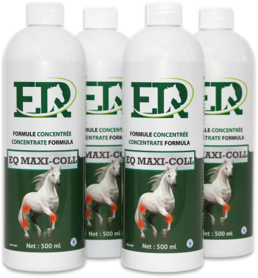 EQ Maxi-Coll Concentrate Formula (set of 4 bottles)